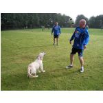 Faustball-Turnier 19.09.2010
